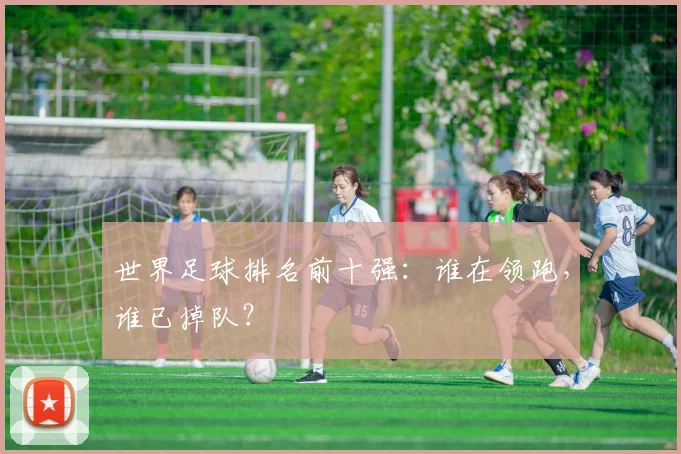 世界足球排名前十强:谁在领跑,谁已掉队?