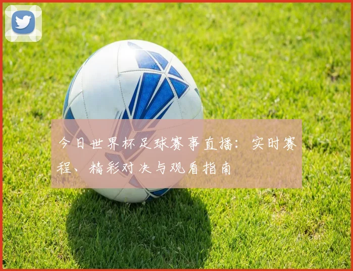 今日世界杯足球赛事直播:实时赛程、精彩对决与观看指南